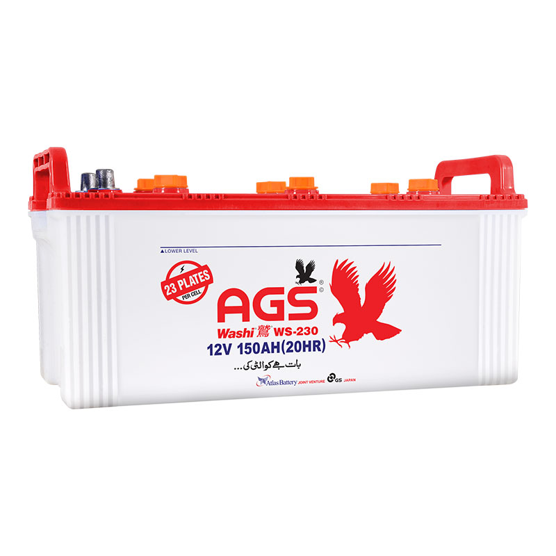 AGS WS 230