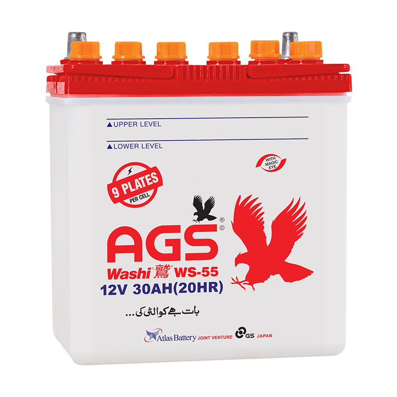 AGS WS 55