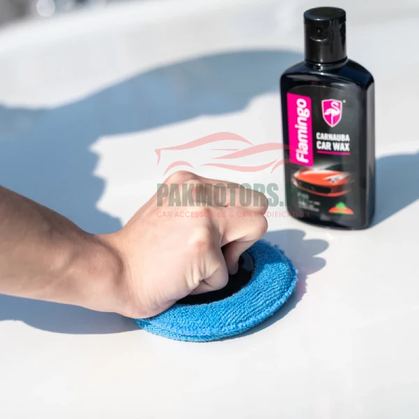 CARANUBA CAR WAX